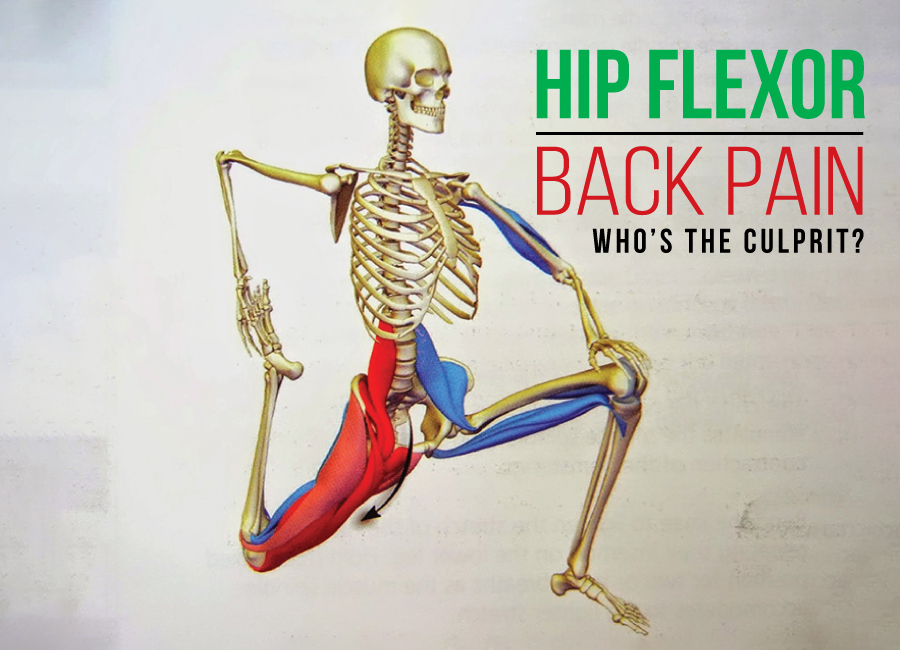 Are Your Hip Flexors Causing Your Low Back Pain Total Therapy